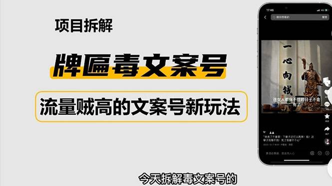 2023抖音快手毒文案新玩法，牌匾文案号，起号快易变现-续财库