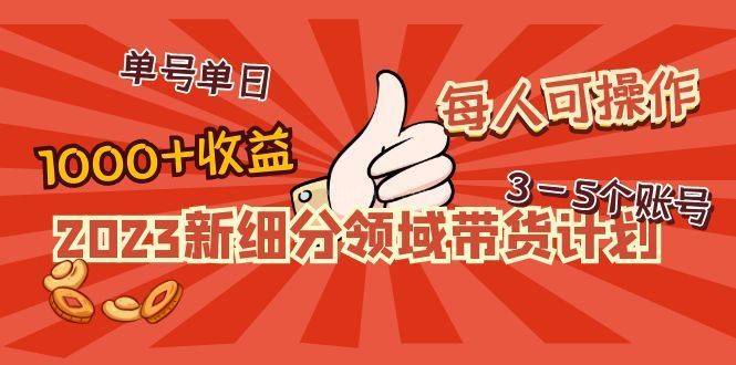 2023新细分领域带货计划：单号单日1000+收益不难，每人可操作3-5个账号-续财库