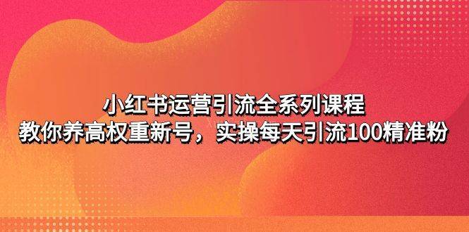 小红书运营引流全系列课程：教你养高权重新号，实操每天引流100精准粉-续财库