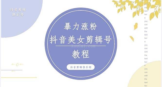 抖音快手暴力涨粉美女混剪视频教程 百分百过原创图片教程 附带违规申诉方法-续财库