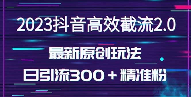 日引300＋创业粉，独家抖音高效截流2.0玩法（价值1280元）-续财库