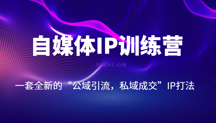 自媒体IP训练营【14期】，一套全新的“公域引流，私域成交”IP打法-续财库