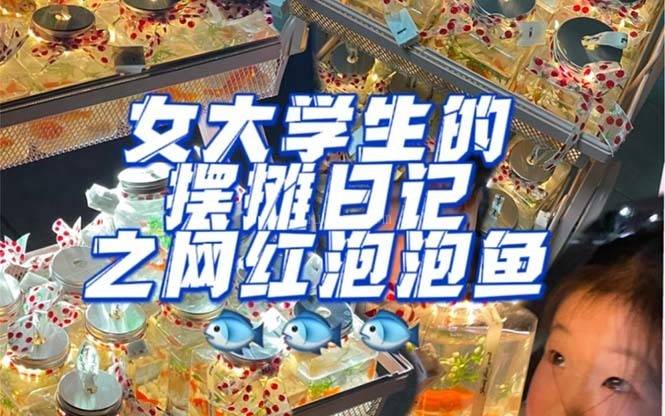 最近抖音很火的泡泡鱼手工小成本地摊创业项目，日賺500+项目课程解析-续财库