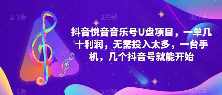 抖音音乐号U盘项目 一单几十利润 无需投入太多 一台手机 几个抖音号就开始-续财库