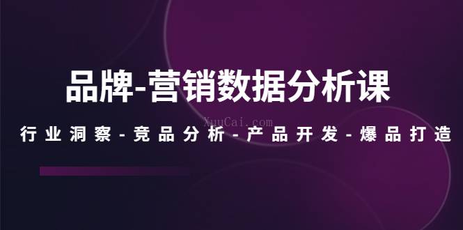 品牌-营销数据分析课，行业洞察-竞品分析-产品开发-爆品打造-续财库