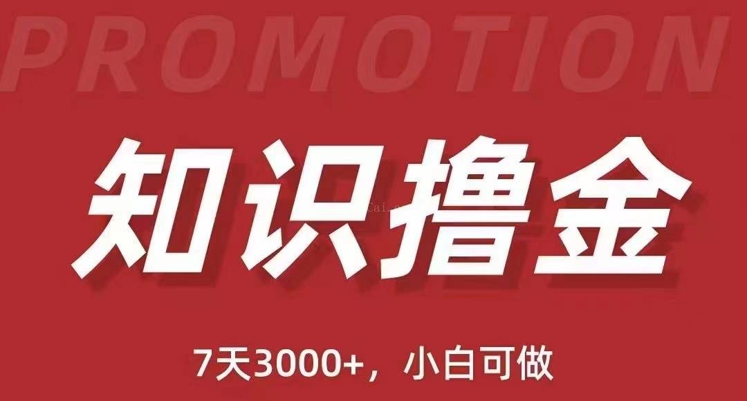 抖音知识撸金项目简单粗暴日入1000+，小白可做（教程+资料）-续财库