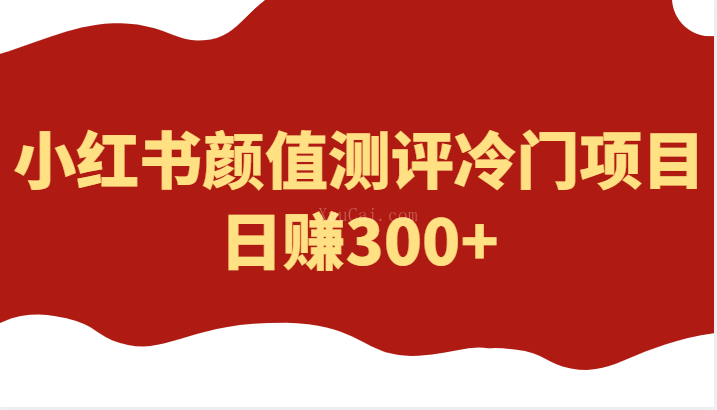 外面4980的项目，小红书颜值测评冷门项目，日赚300+-续财库