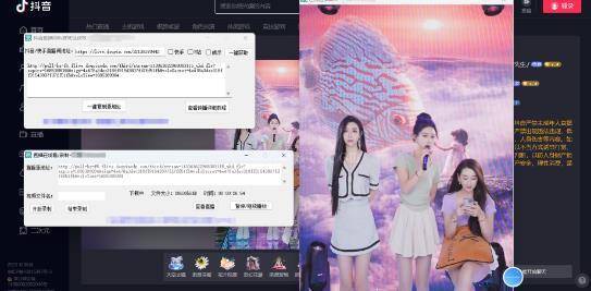 图片[2]-最新电脑版抖音/快手/B站直播源获取+直播间实时录制+直播转播【软件+教程】-续财库