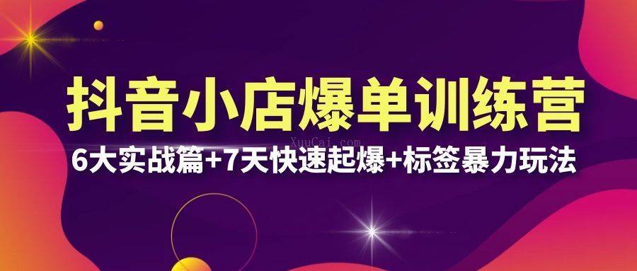 抖音小店爆单训练营VIP线下课：6大实战篇+7天快速起爆+标签暴力玩法(32节)-续财库