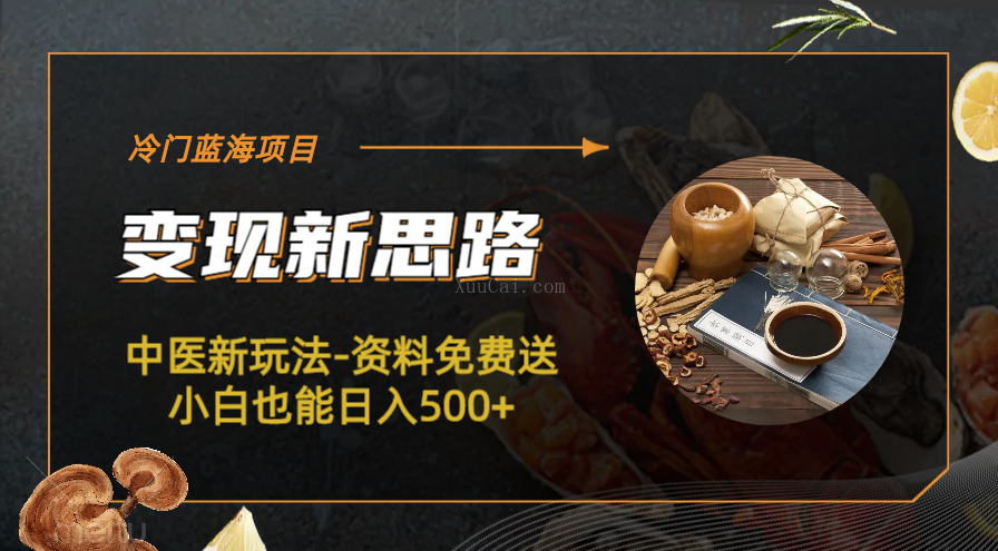 冷门蓝海项目-中医新玩法-资料免费送小白也能日入500+-续财库