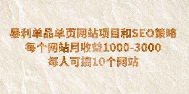 暴利单品单页网站项目和SEO策略 每个网站月收益1000-3000 每人可搞10个-续财库