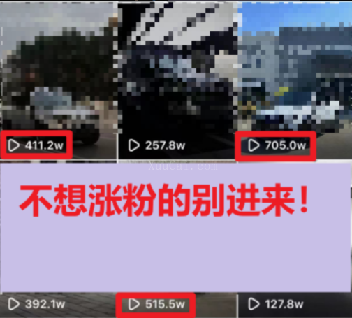 图片[2]-一分钟700W播放 进来学完 你也能做到 保姆式教学 暴力变现（教程+83G素材）-续财库