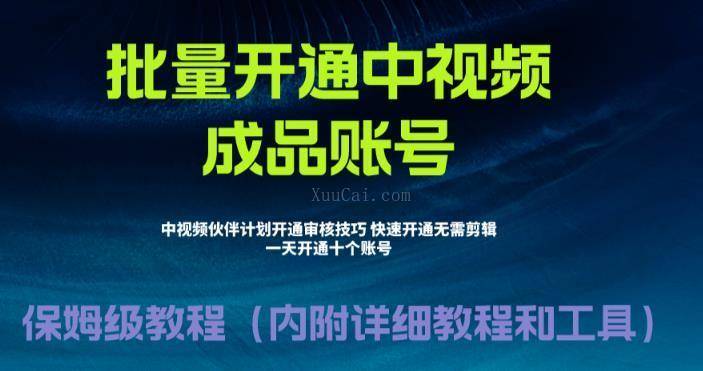 外面收费1980暴力开通中视频计划教程，附 快速通过中视频伙伴计划的办法-续财库