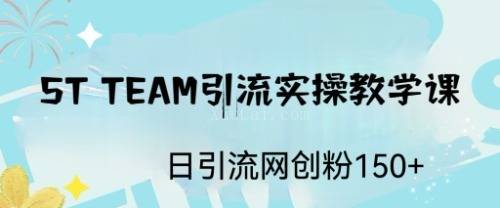 ST TEAM引流实操课，日引流网创粉100+-续财库