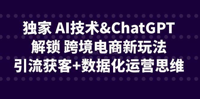 独家 AI技术 ChatGPT解锁 跨境电商新玩法，引流获客+数据化运营思维-续财库