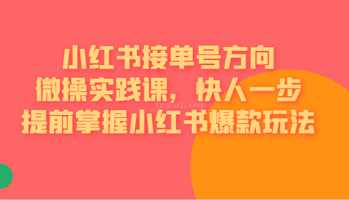 小红书接单号方向微操实践课,快人一步提前掌握小红书爆款玩法-续财库