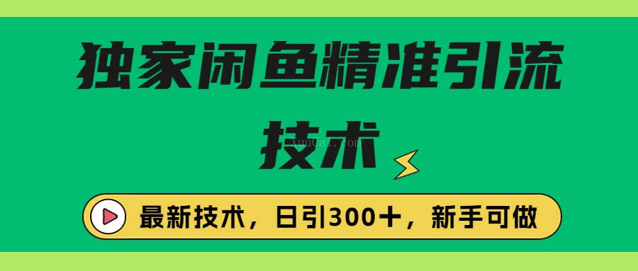 独家闲鱼引流技术，日引300＋实战玩法-续财库