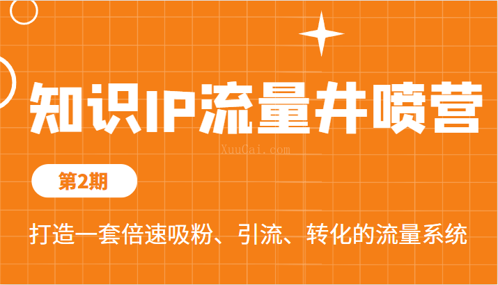 知识IP流量井喷营第2期，打造一套倍速吸粉、引流、转化的流量系统-续财库