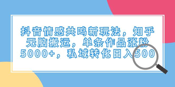 抖音情感共鸣新玩法，知乎无脑搬运，单条作品涨粉5000+，私域转化日入500-续财库