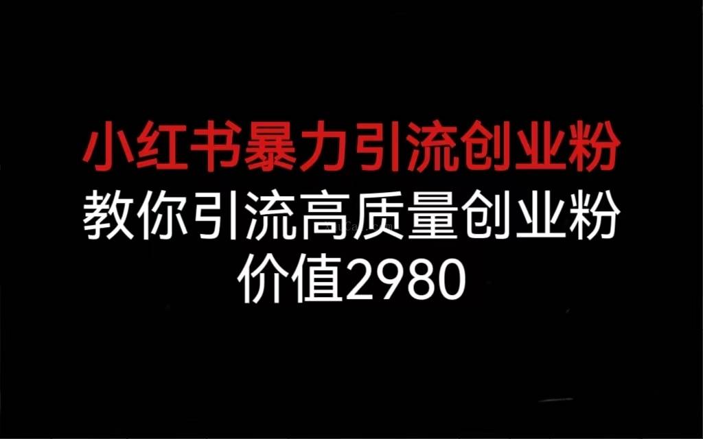 小红书暴力引流创业粉，教你引流高质量创业粉，价值2980-续财库