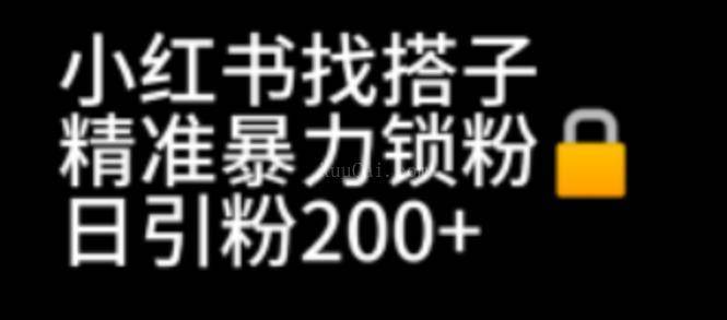 小红书找搭子暴力精准锁粉+引流日引200+精准粉-续财库