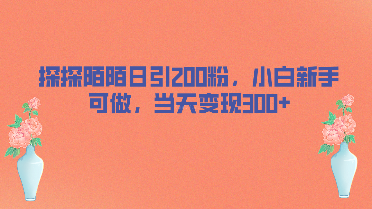 探探陌陌日引200粉，小白新手可做，当天就能变现300+-续财库