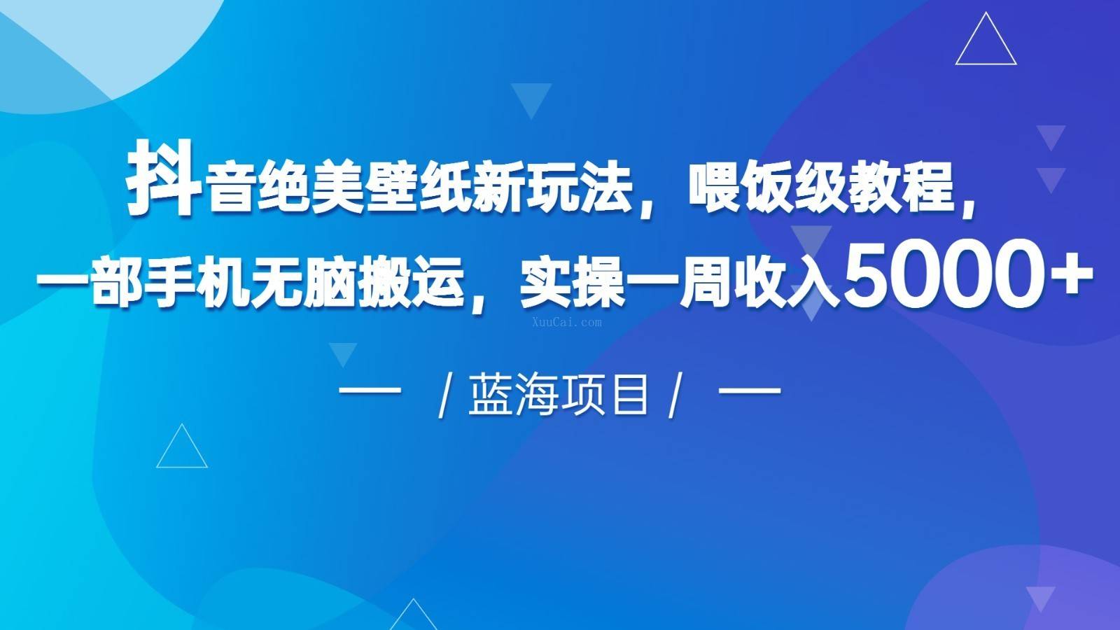 抖音绝美壁纸新玩法，喂饭级教程，一部手机无脑搬运，实操一周收入5000-续财库