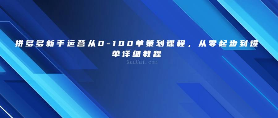 拼多多新手运营从0-100单策划课程，从零起步到爆单详细教程-续财库