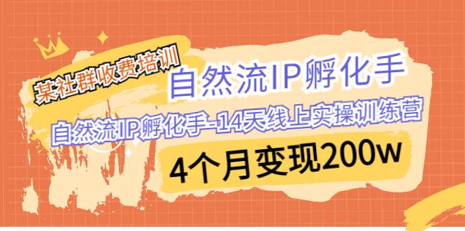 某社群收费培训：自然流IP 孵化手-14天线上实操训练营 4个月变现200w-续财库