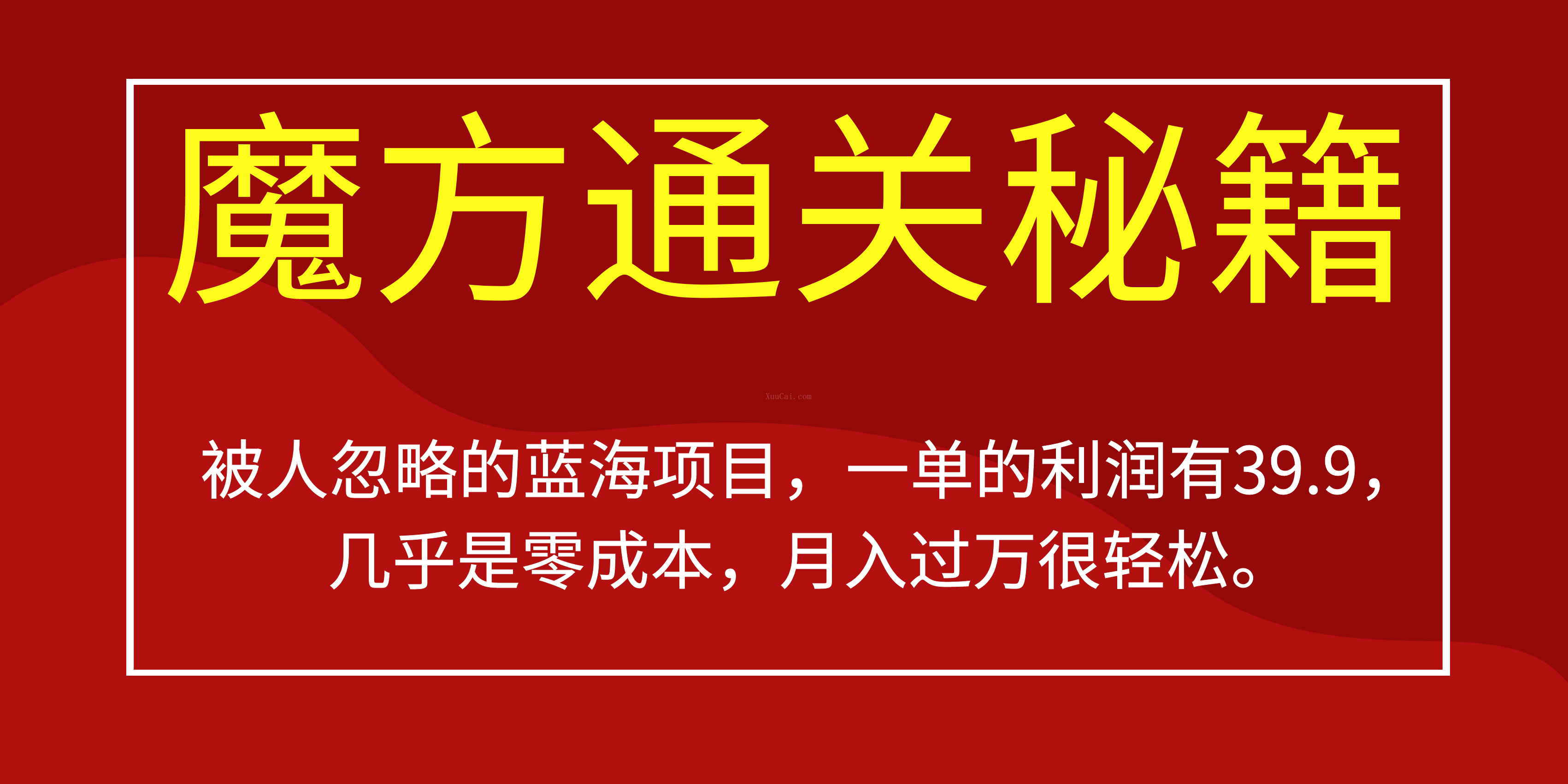 被人忽略的蓝海项目，魔方通关秘籍一单利润有39.9，几乎是零成本-续财库