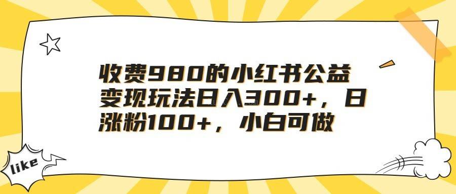 收费980的小红书公益变现玩法日入300+，日涨粉100+，小白可做-续财库