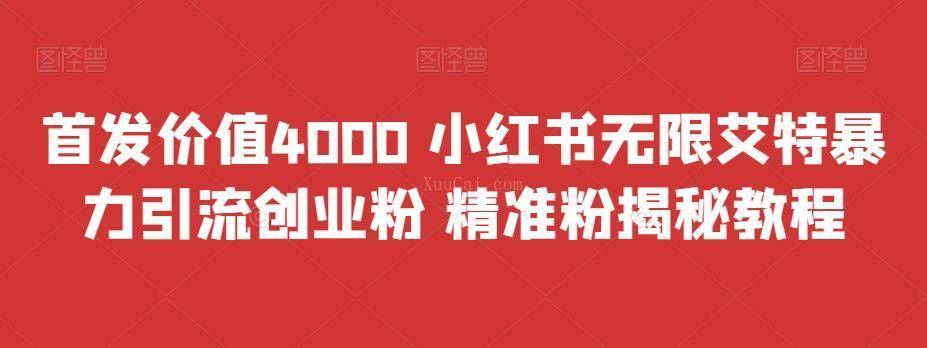 首发价值4000 小红书无限艾特暴力引流创业粉 精准粉揭秘教程-续财库