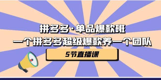 拼多多·单品爆款班，一个拼多多超级爆款养一个团队（5节直播课）-续财库