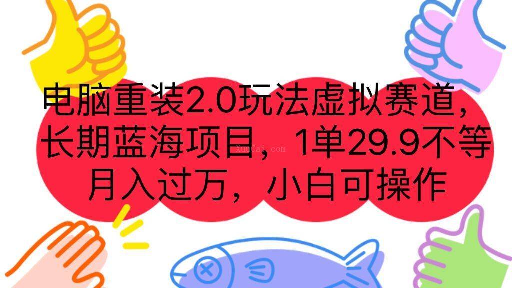 电脑重装2.0玩法虚拟赛道,长期蓝海项目 一单29.9不等 月入过万 小白可操作-续财库