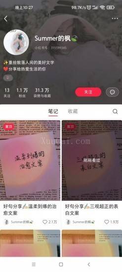 图片[3]-AI批量制造小红书爆款笔记+小红书无货源玩法一条龙实操，小白也能轻松日入500+-续财库