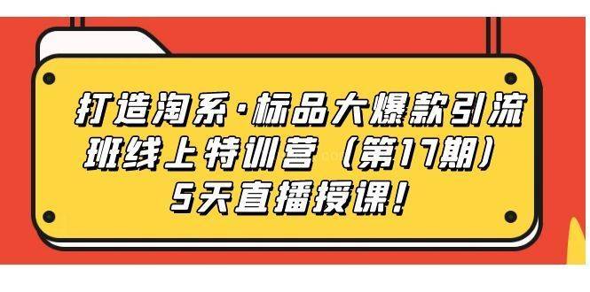 打造淘系·标品大爆款引流班线上特训营（第17期）5天直播授课！-续财库