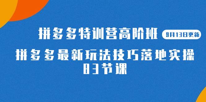 2023拼多多·特训营高阶班【9月13日更新】拼多多最新玩法技巧落地实操-83节-续财库