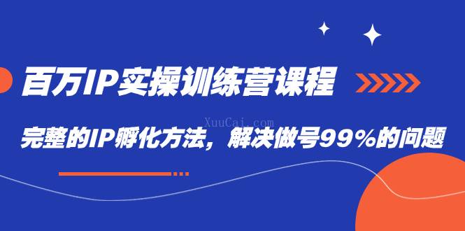 百万IP实战训练营课程，完整的IP孵化方法，解决做号99%的问题-续财库