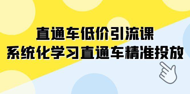 直通车-低价引流课，系统化学习直通车精准投放（14节课）-续财库