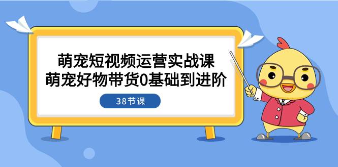 萌宠·短视频运营实战课：萌宠好物带货0基础到进阶（38节课）-续财库