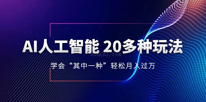 AI人工智能 20多种玩法 学会“其中一种”轻松月入过万，持续更新AI最新玩法-续财库