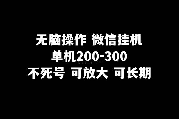 无脑操作微信挂机单机200-300一天，不死号，可放大-续财库