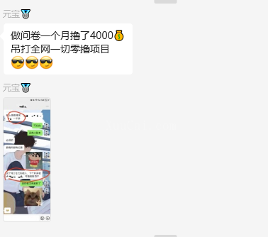 图片[2]-问卷调查兼职项目，随时可做 超低门槛 单号日撸20+-续财库