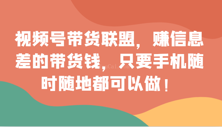 视频号带货联盟，赚信息差的带货钱，只需手机随时随地都可以做！-续财库