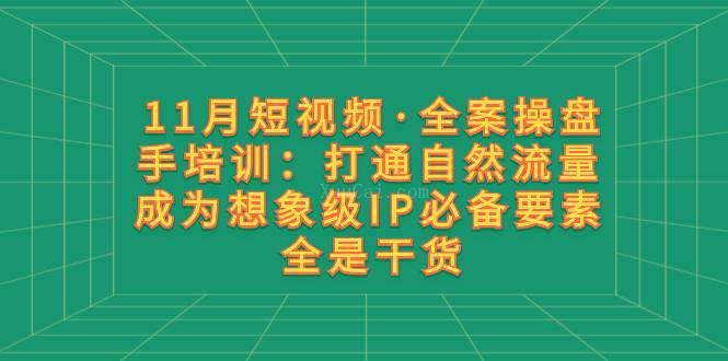 11月短视频·全案操盘手培训：打通自然流量 成为想象级IP必备要素 全是干货-续财库