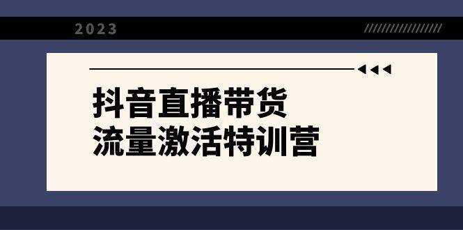 抖音直播带货-流量激活特训营，入行新手小白主播必学（21节课+资料）-续财库