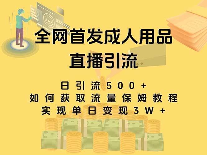 最新全网独创首发，成人用品直播引流获客暴力玩法，单日变现3w保姆级教程-续财库