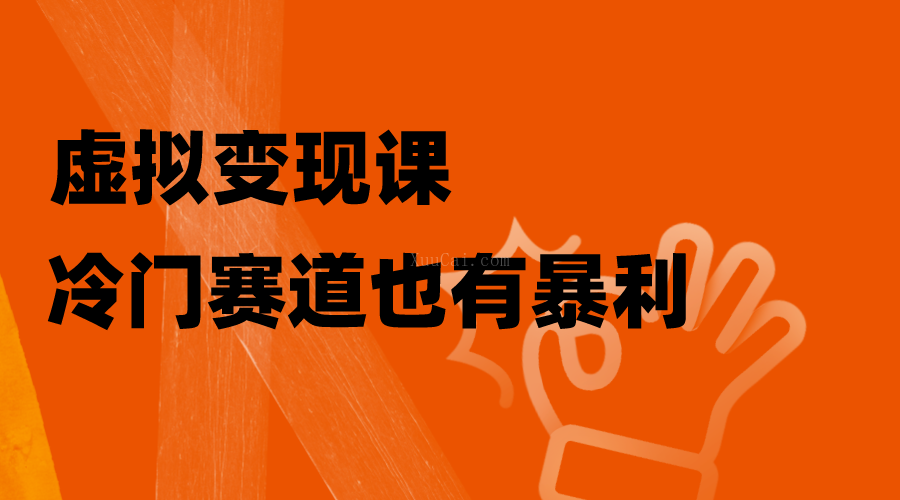 虚拟变现课，冷门赛道也有暴利，手把手教你玩转冷门私域-续财库