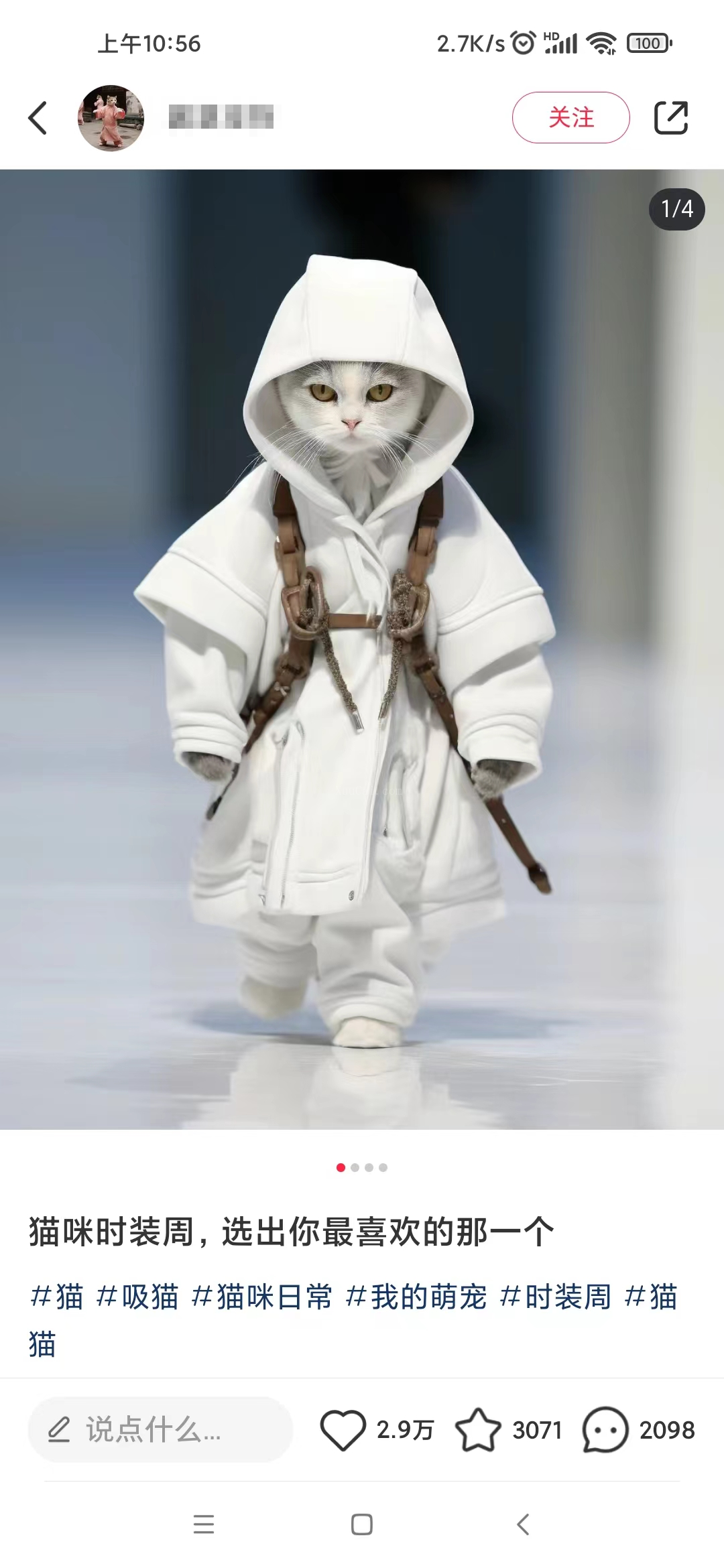 图片[3]-小红书最新爆款项目，Animal秀，7天变现1w+-续财库