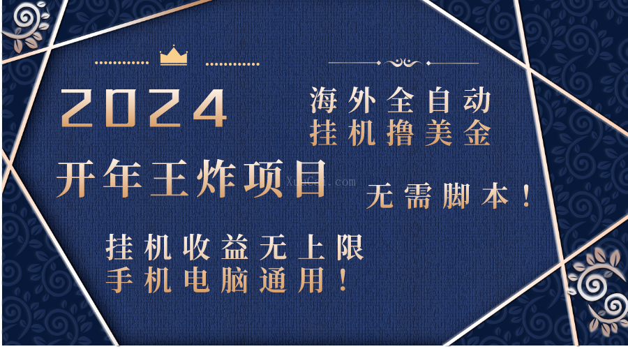 2024海外全自动挂机撸美金项目！手机电脑均可，无需脚本，收益无上限！-续财库